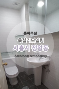 시흥시 정왕동 …