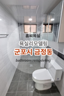 군포시 금정동 …